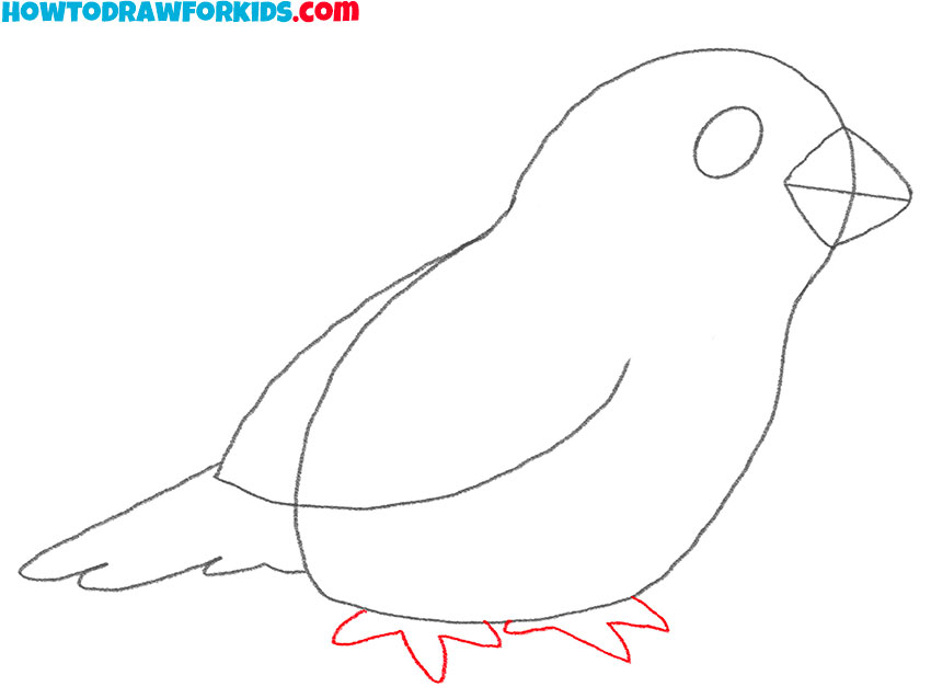 how to draw a simple cartoon bird