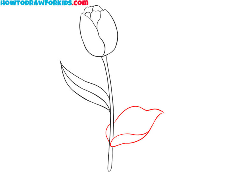 How to Draw a Tulip Easy Drawing Tutorial For Kids