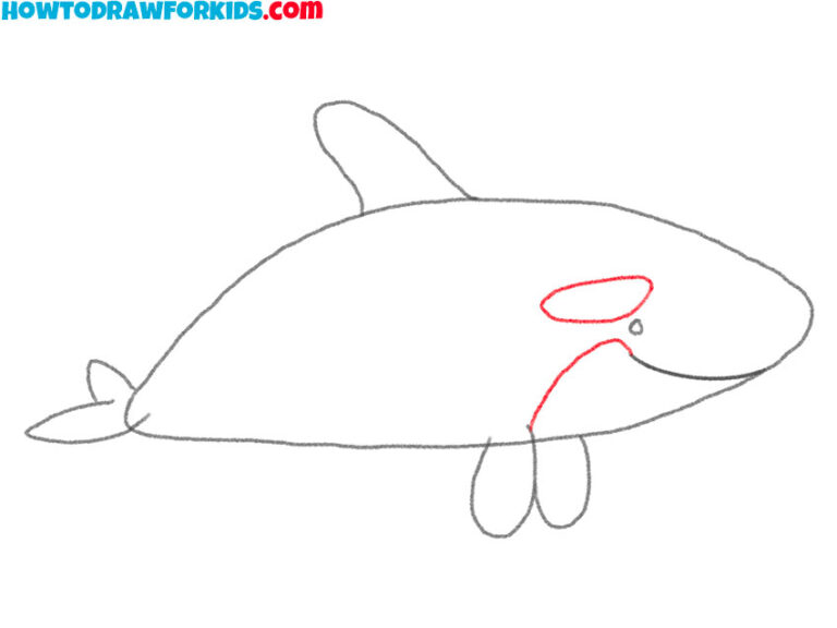 How to Draw an Orca Easy Drawing Tutorial For Kids