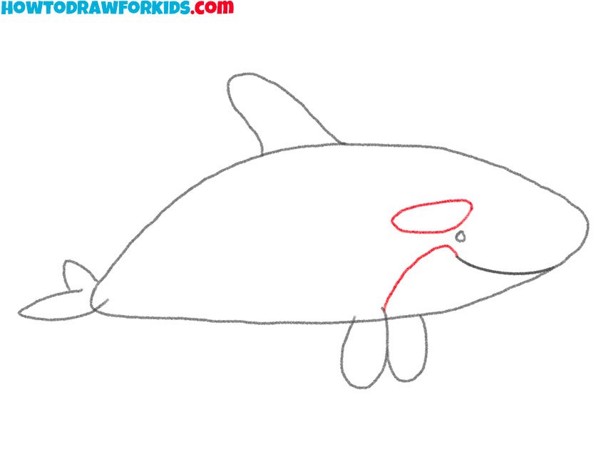 how to draw an orca for kids