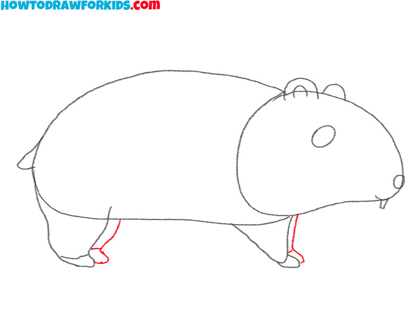 how to draw a cartoon hamster