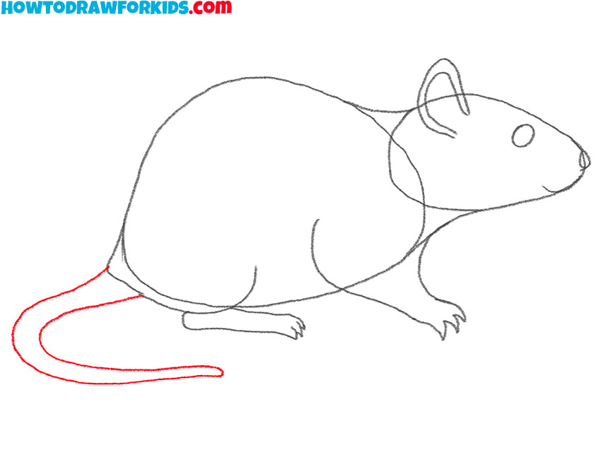how to draw a cartoon rat easy