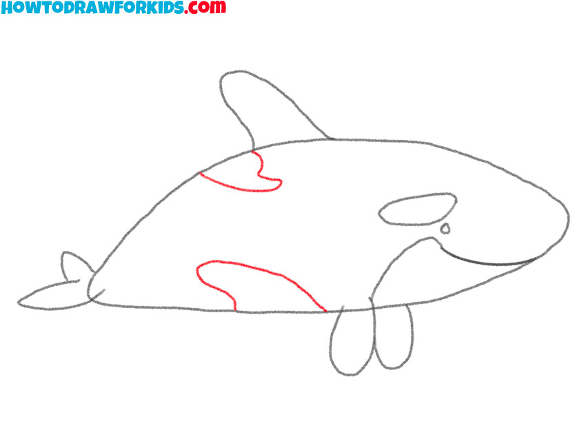 how to draw an orca for beginners