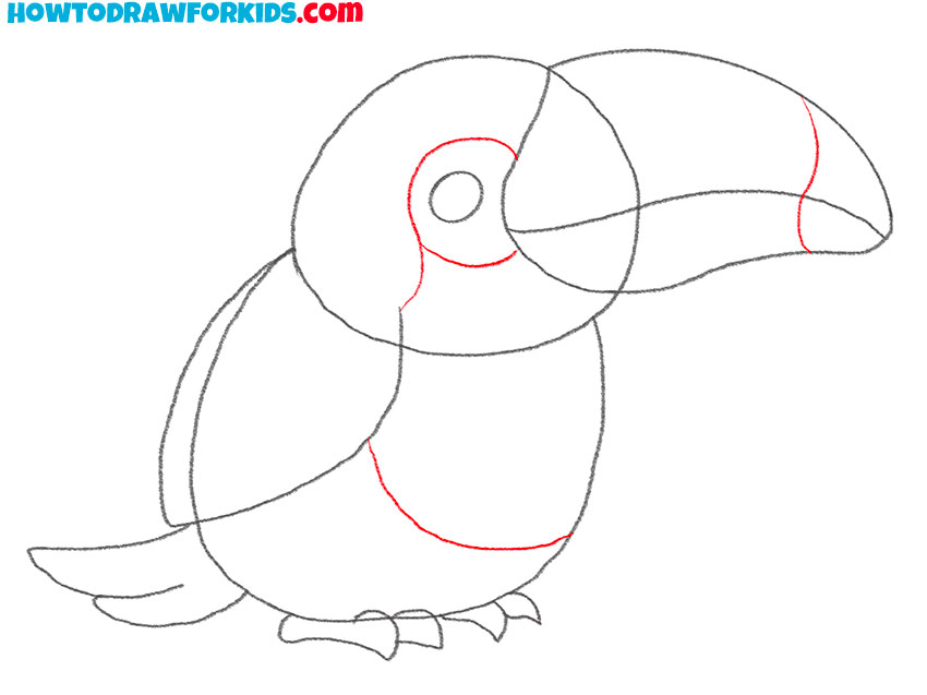 toucan drawing realistic