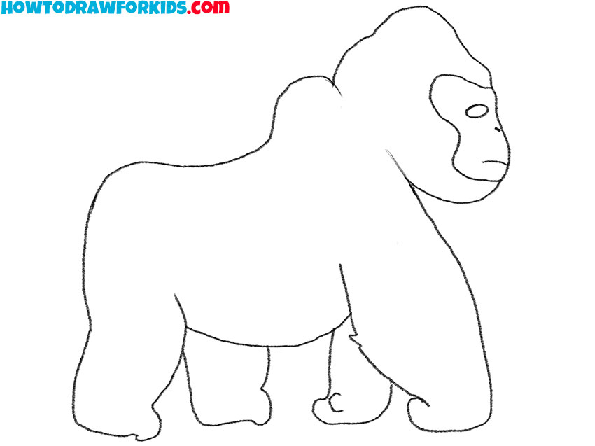 gorilla drawing lesson