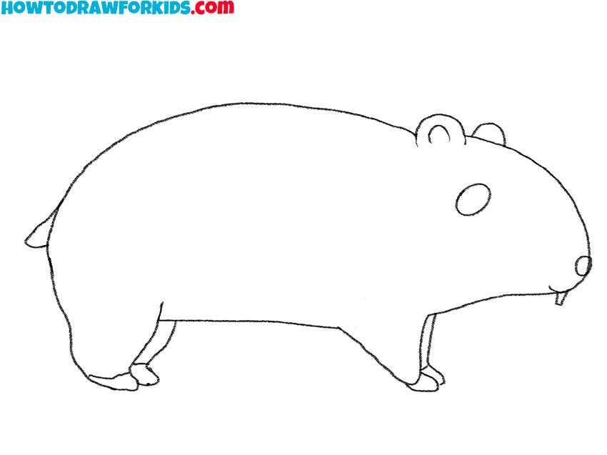 how to draw a cartoon hamster easy