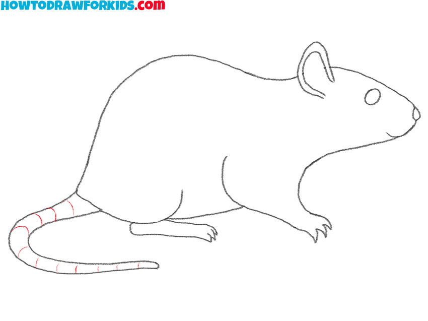how to draw a cartoon rat