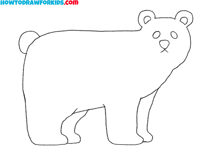 how to draw a realistic polar bear