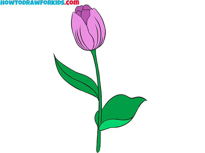 Hand drawn of side view pink tulip flower - Stock Image - Everypixel