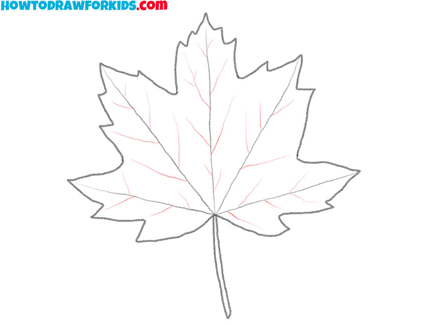 maple leaf drawing guide