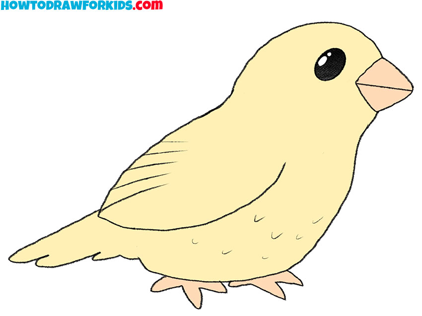 how to draw a cartoon bird