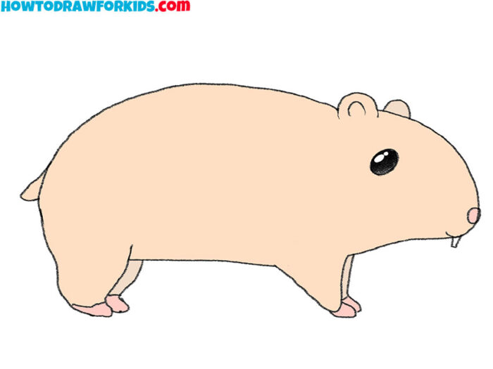 How to Draw a Hamster - Easy Drawing Tutorial For Kids