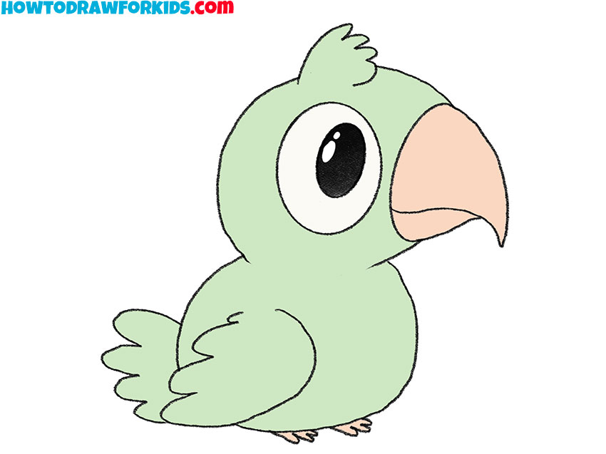 how to draw a cartoon parrot easy