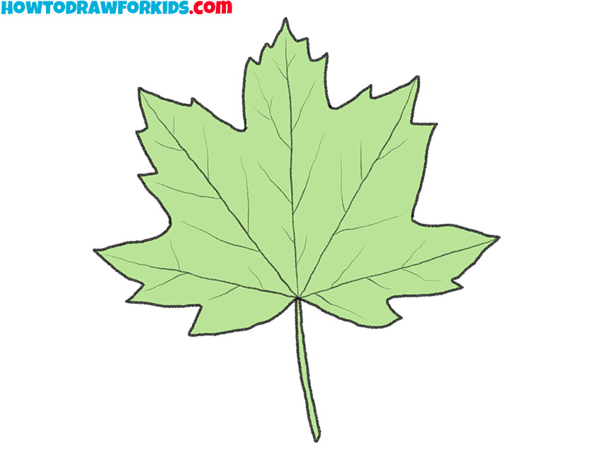 how to draw a maple leaf for beginners