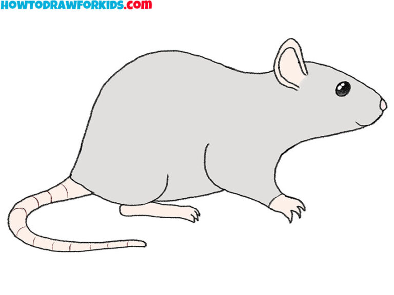 How To Draw A Rat - Easy Drawing Tutorial For Kids