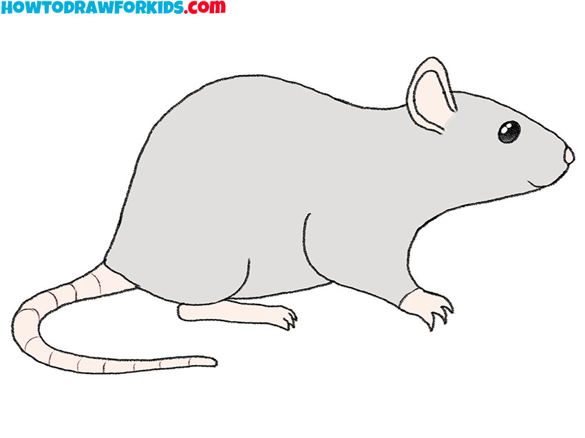 how to draw a rat easily