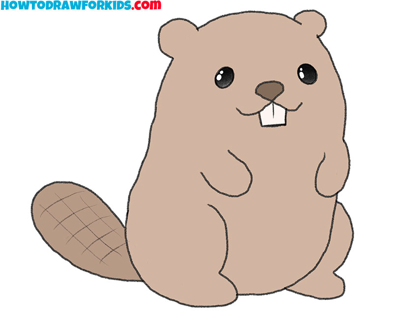 Beavers Drawing