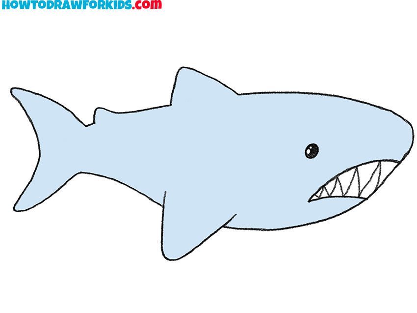 how to draw a realistic megalodon