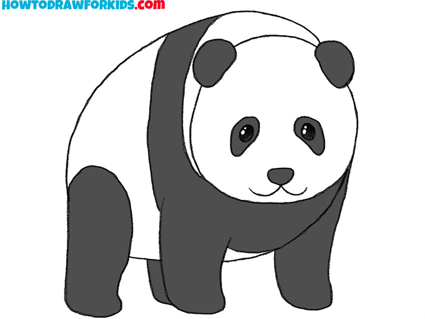 panda bear drawing tutorial