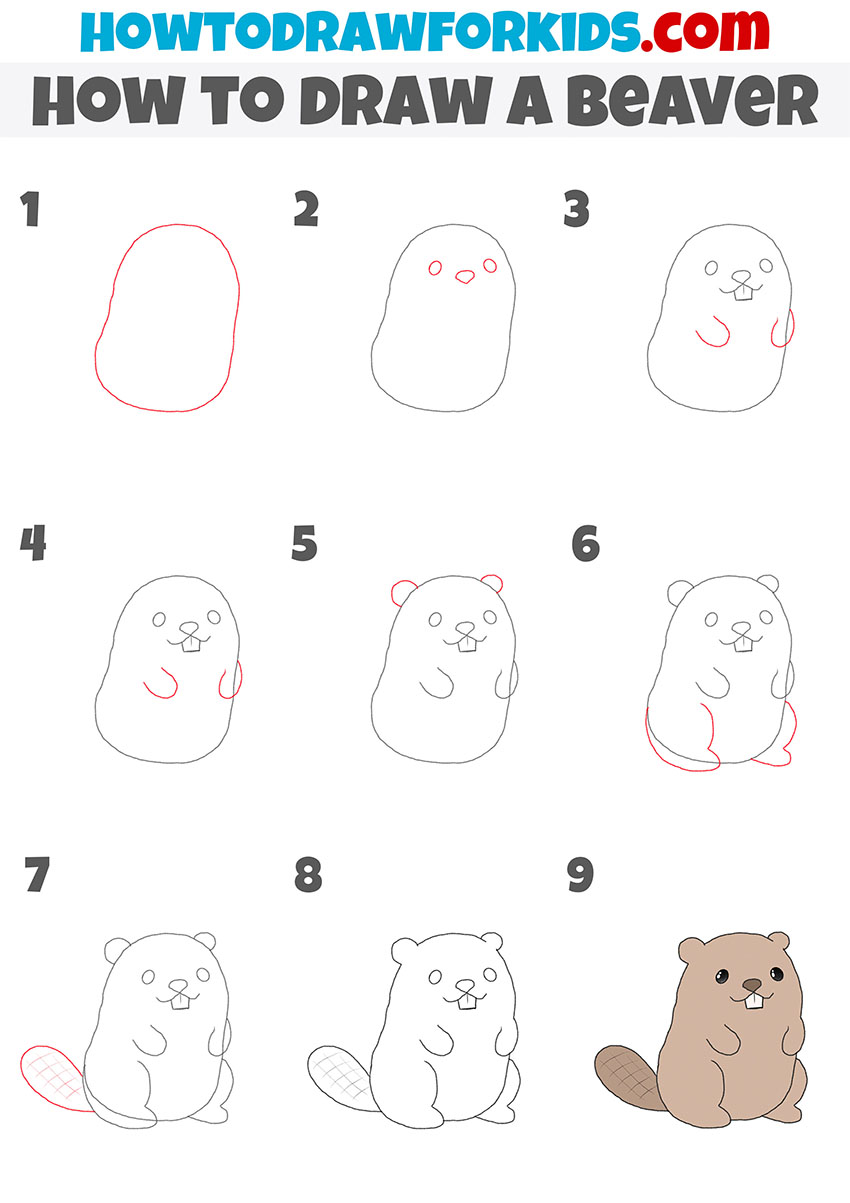 how to draw a beaver step by step