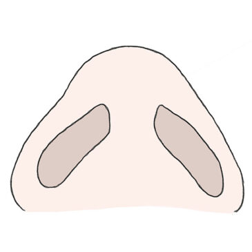 How to Draw a Cartoon Nose from Below