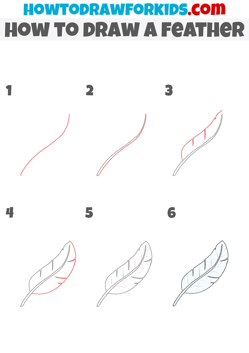 how to draw a feather step by step