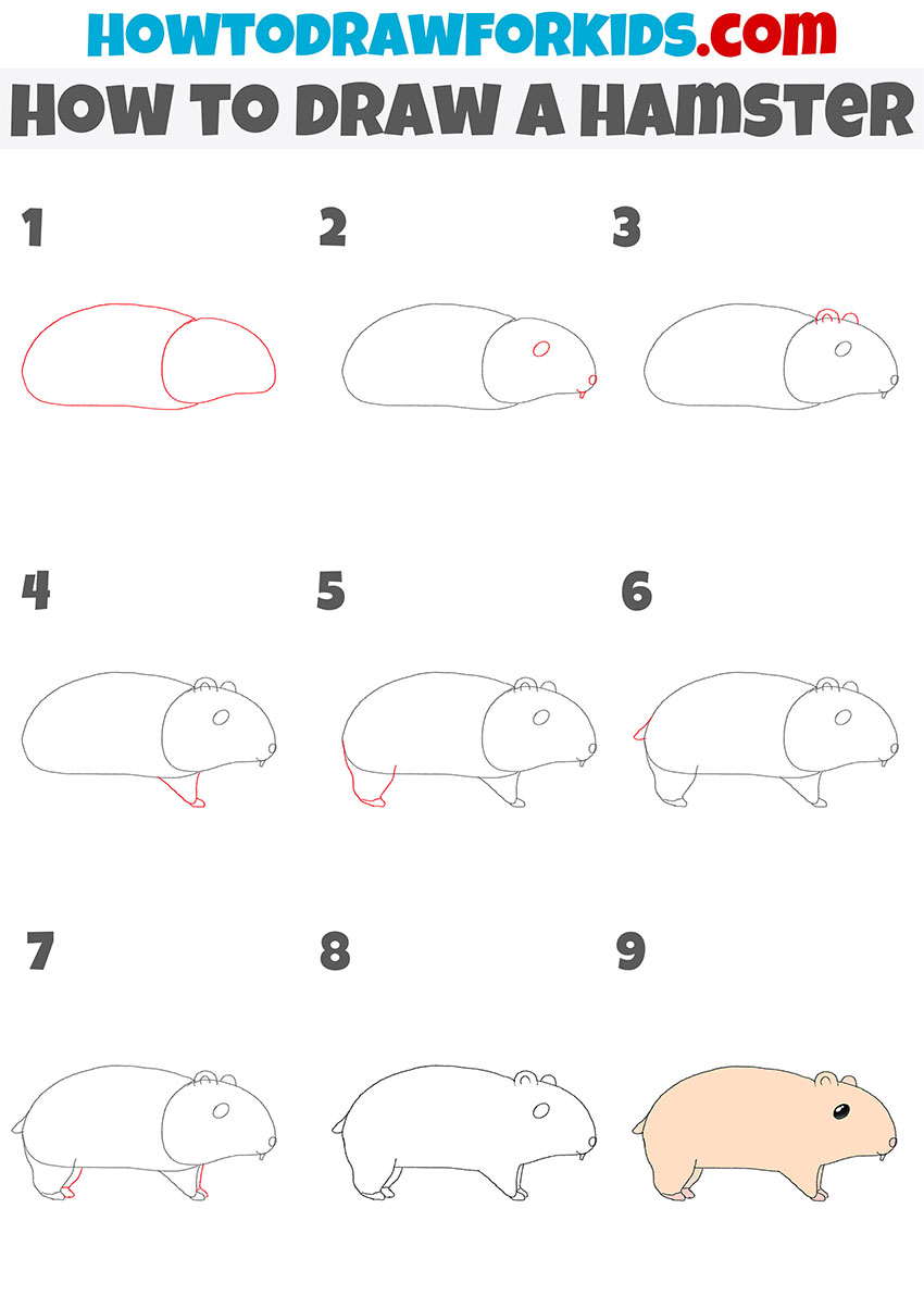 how to draw a hamster step by step