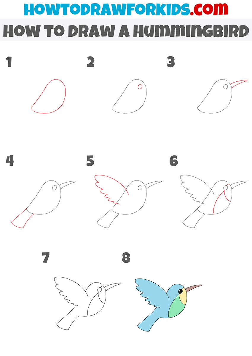 how to draw a hummingbird step by step