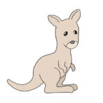 How to Draw a Kangaroo