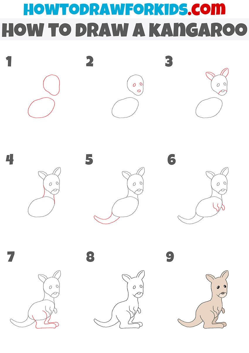 how to draw a kangaroo step by step
