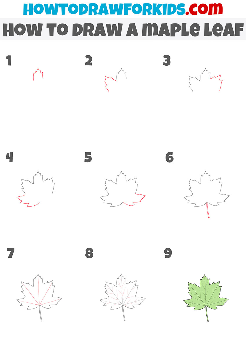 how to draw a maple leaf step by step