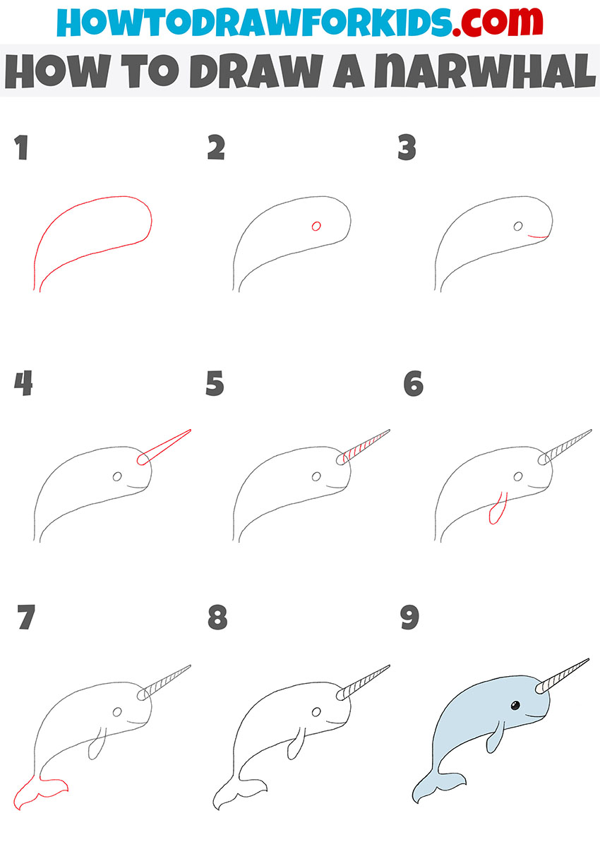 how to draw a narwhal step by step