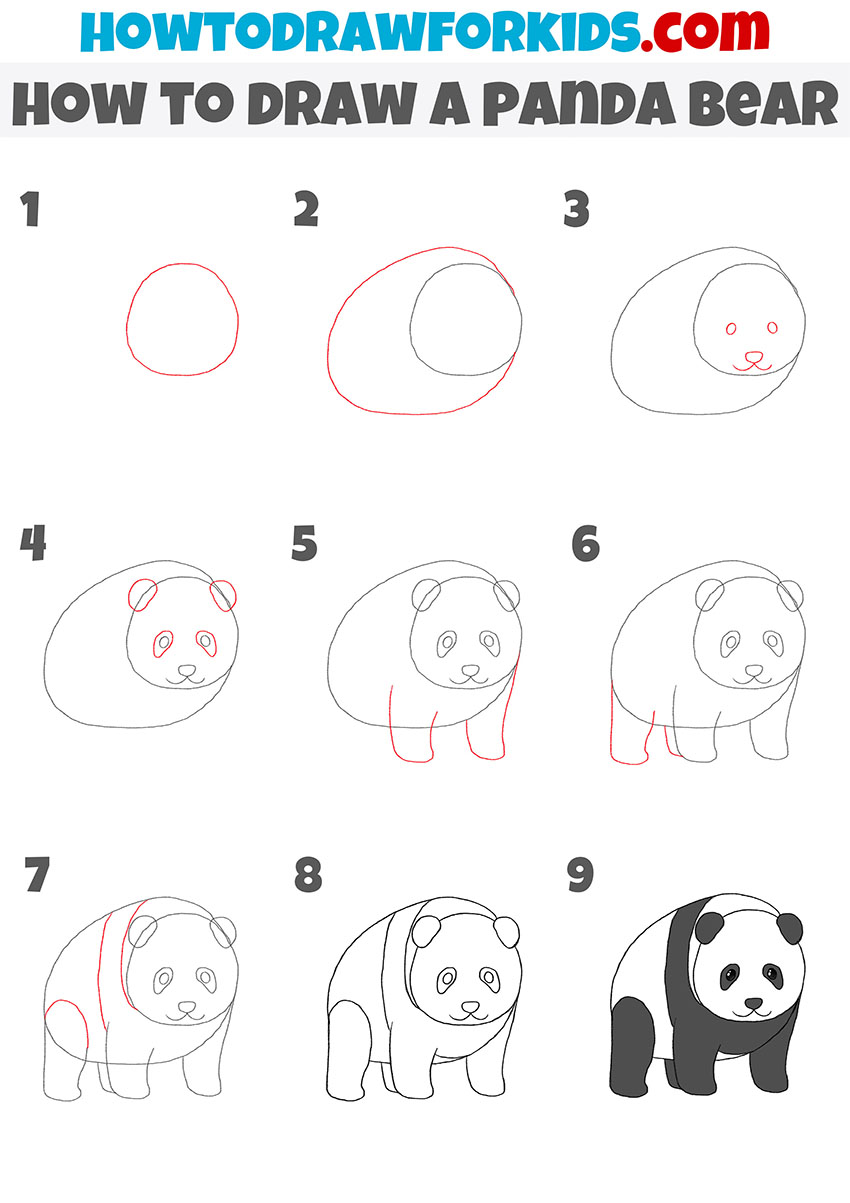 Panda Bear Drawings For Kids