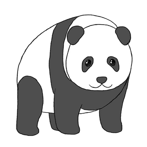 Panda Drawing Tutorial - How to draw Panda step by step-saigonsouth.com.vn