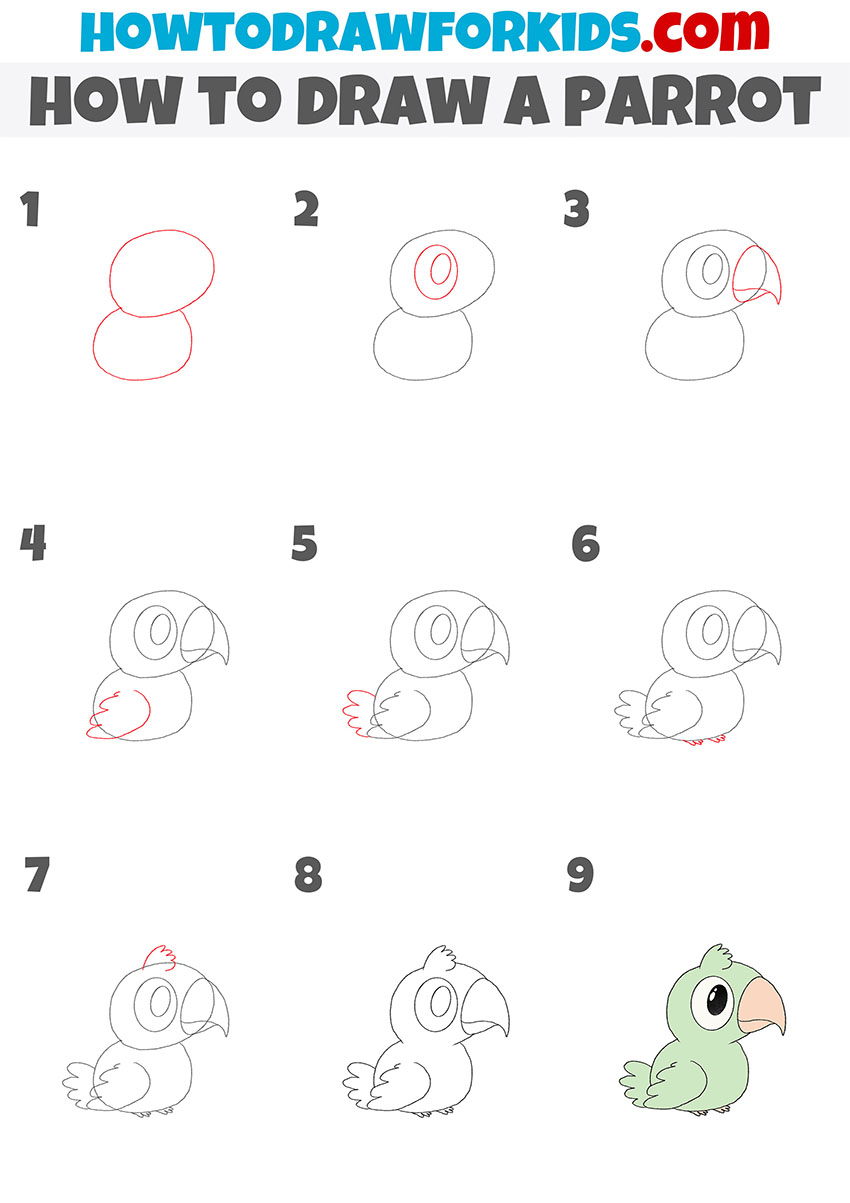 how to draw a parrot step by step