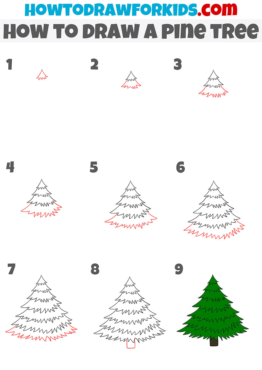 how to draw a pine tree step by step