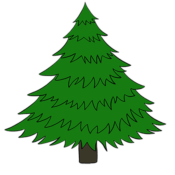 How To Draw A Pine Tree