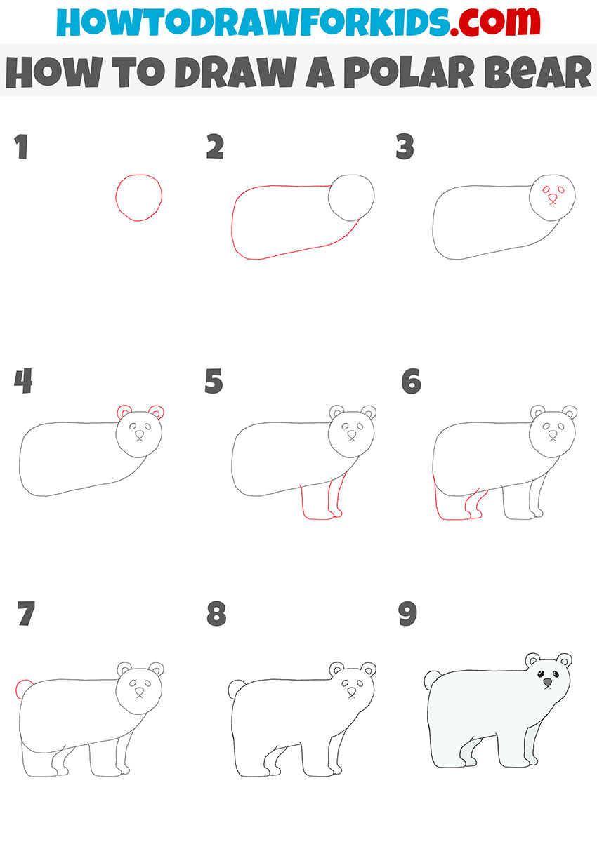 how to draw a polar bear step by step