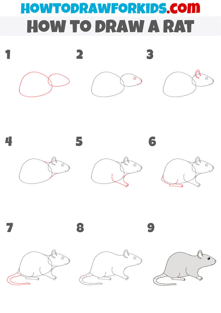 How to Draw a Rat Easy Drawing Tutorial For Kids