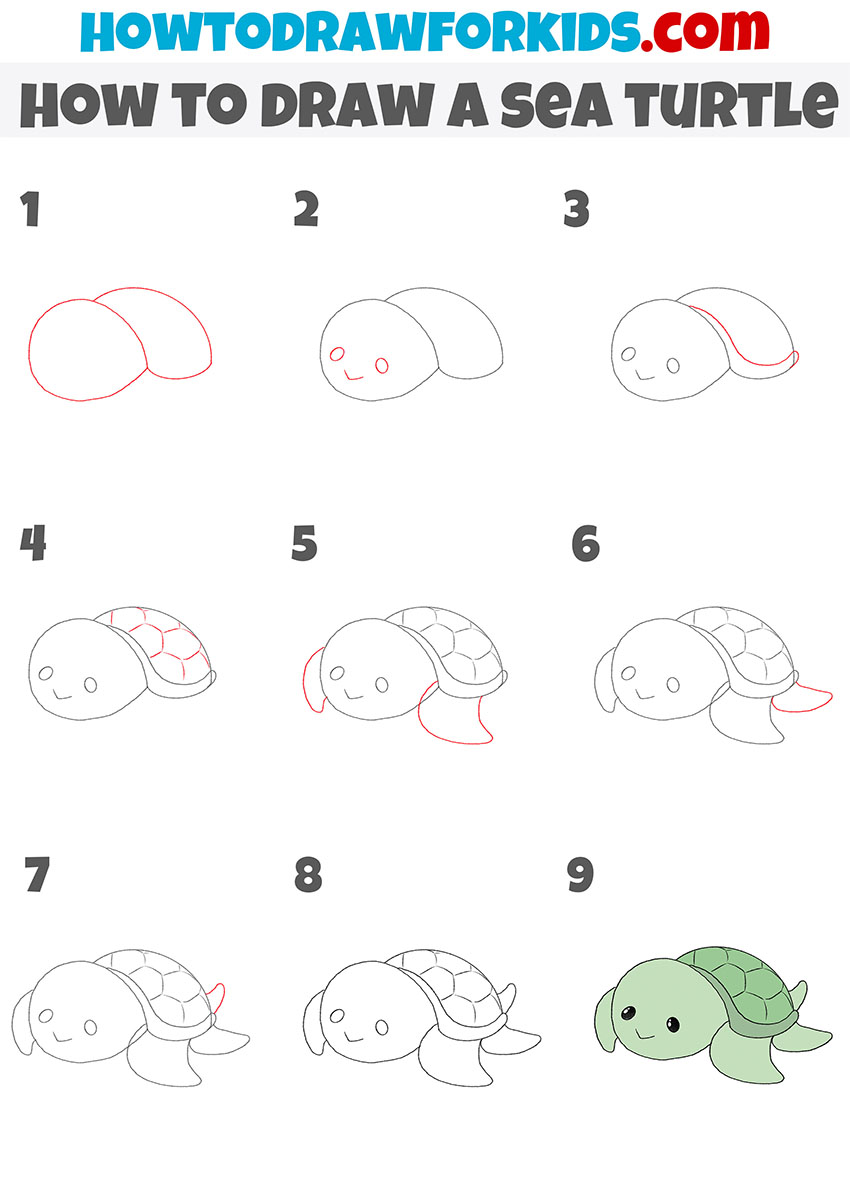 How to Draw a Sea Turtle : Easy Step-By-Step Tutorial