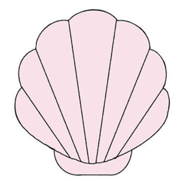 How to Draw a Shell