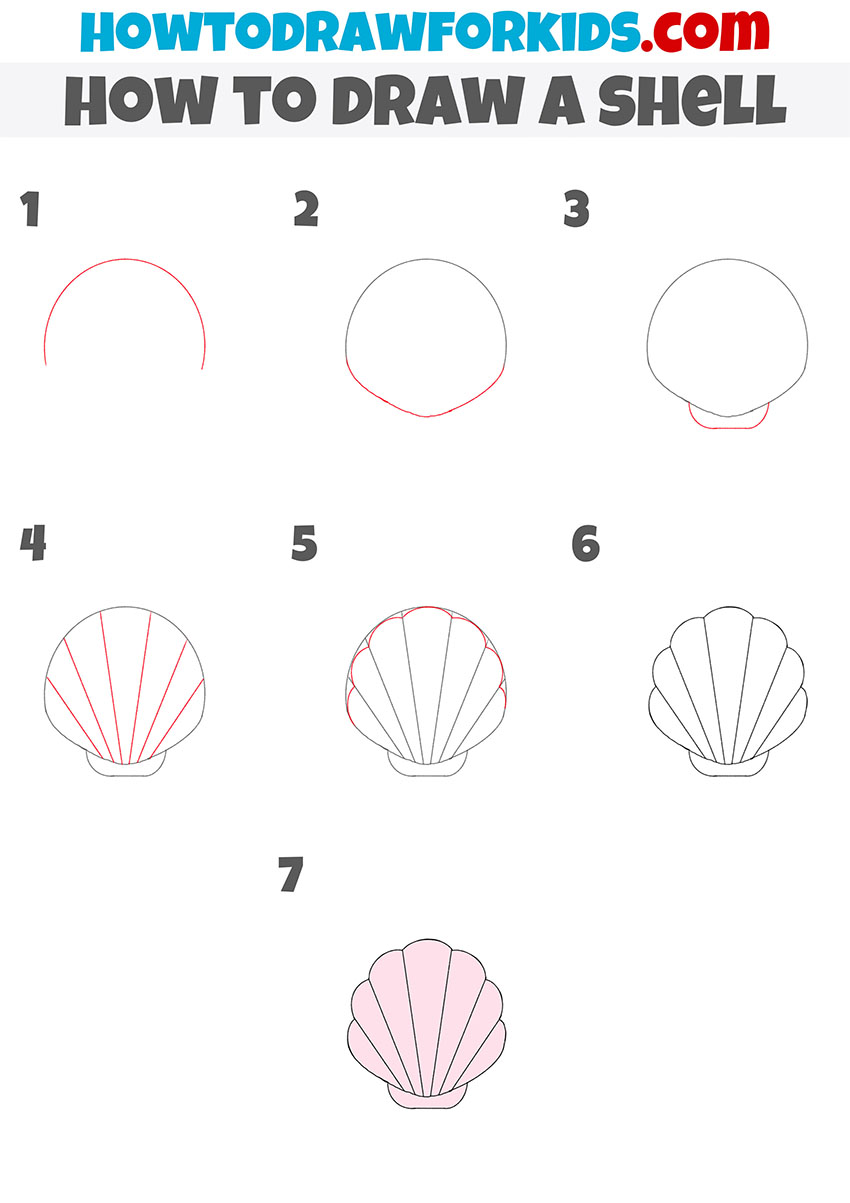 how to draw a shell step by step1