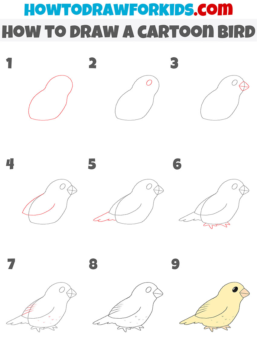 How to Draw a Cartoon Bird Easy Drawing Tutorial For Kids