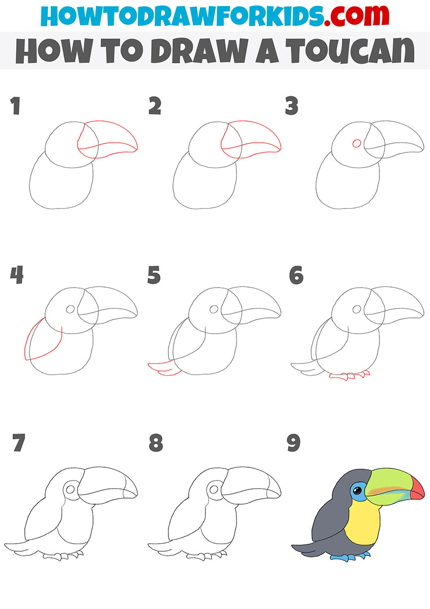 how to draw a toucan step by step
