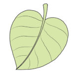 How to Draw a Tree Leaf