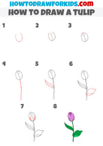 How to Draw a Tulip - Easy Drawing Tutorial For Kids