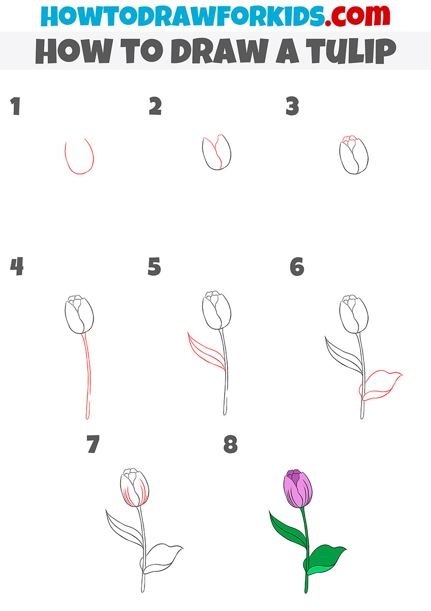 how to draw a tulip step by step