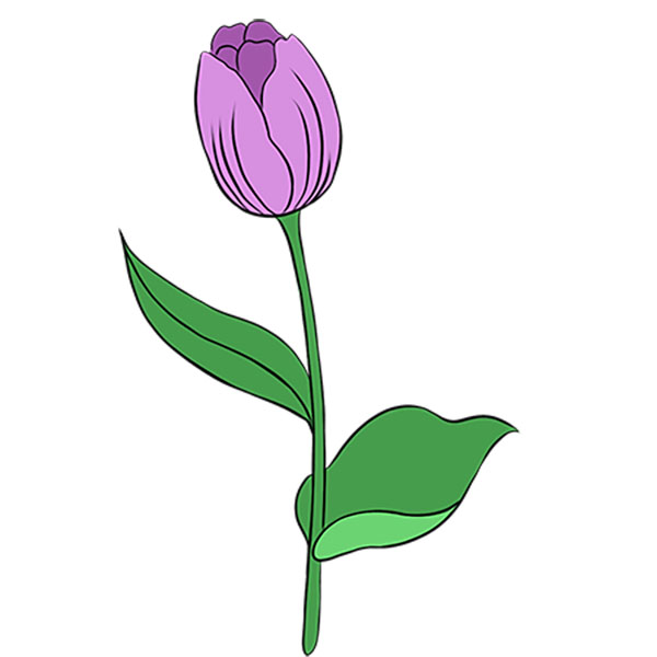 How to Draw a Tulip Easy Drawing Tutorial For Kids