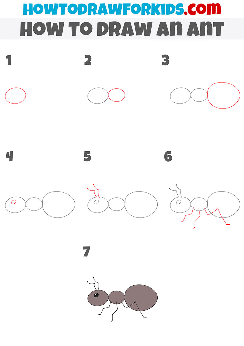 how to draw an ant step by step