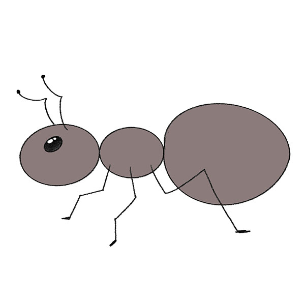 Cute ant drawing 5485728 Vector Art at Vecteezy